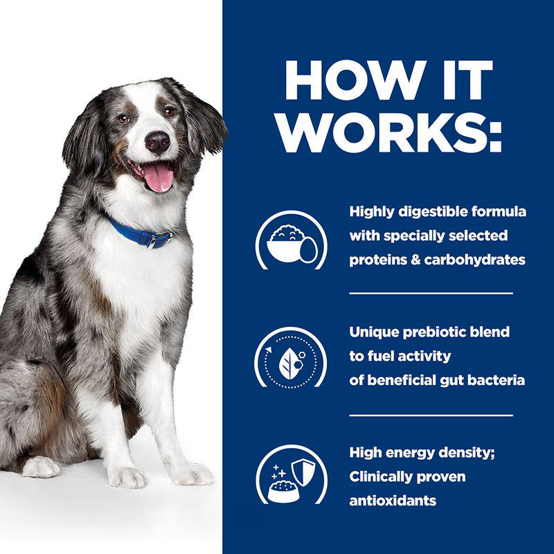Sensitive digestion dog food