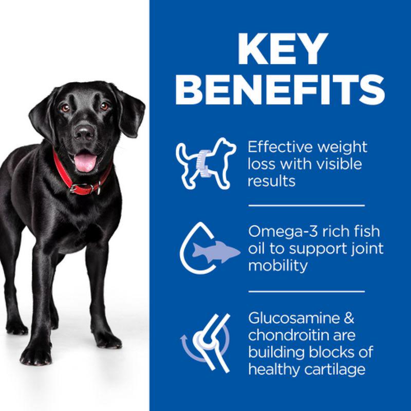 Mobility support dog meal