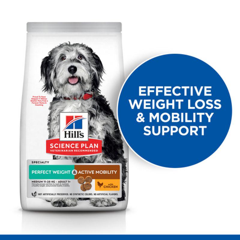 Medium breed cat food