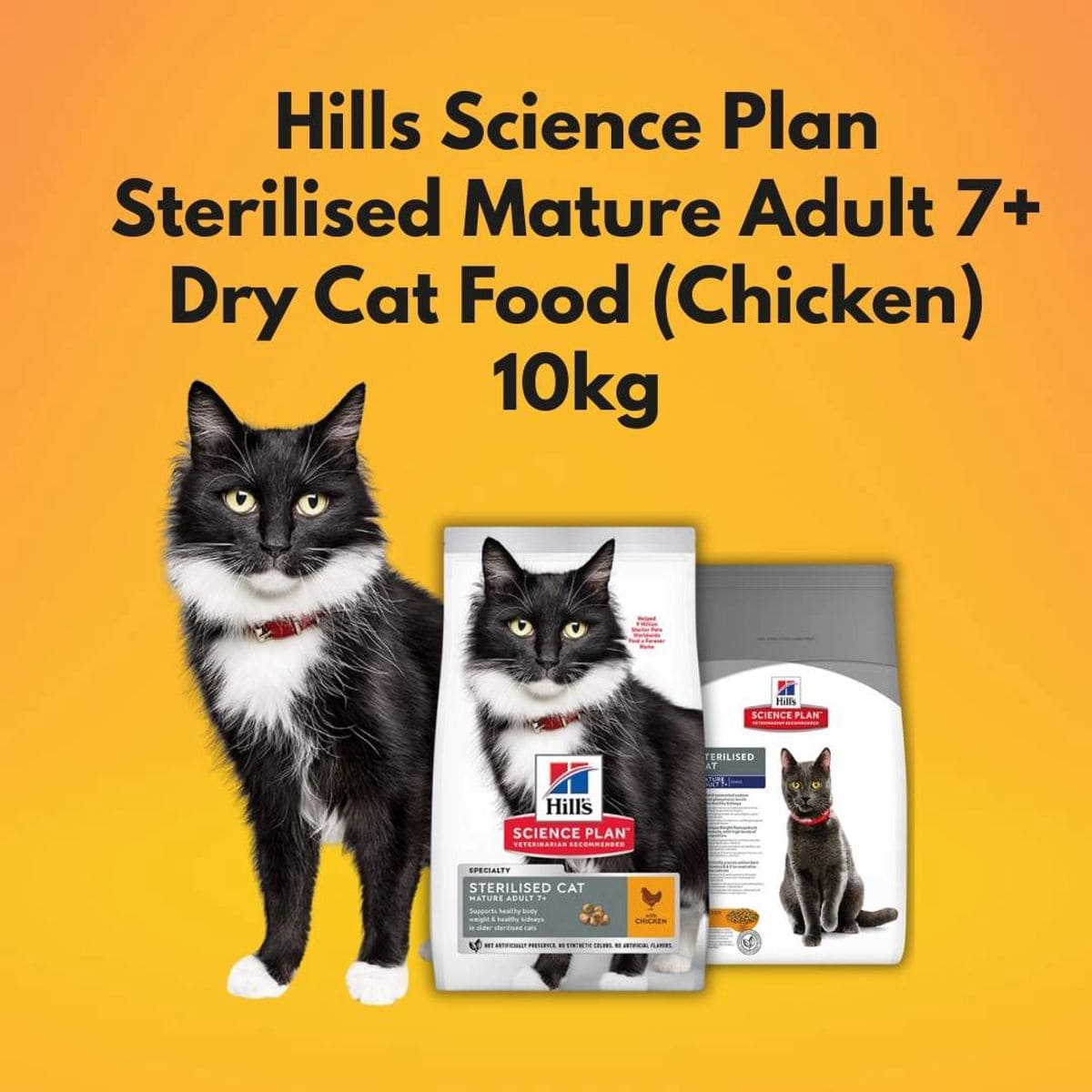 Hills Science Plan cat food packaging with a black and white cat on a yellow background