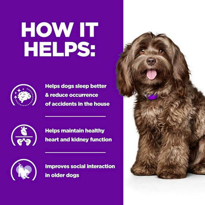 Dog with a purple background 