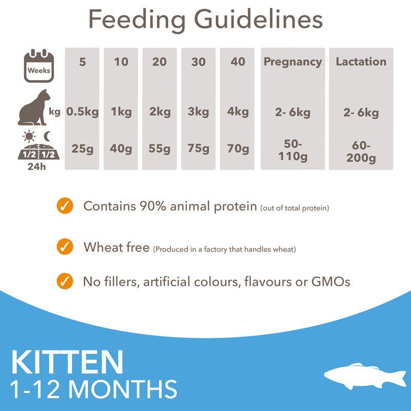 Nutrient-rich kitten dry food