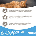 Load image into Gallery viewer, IAMS Advanced Nutrition Kitten with Ocean Fish
