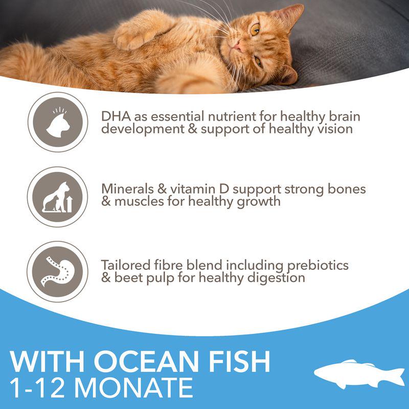 IAMS Advanced Nutrition Kitten with Ocean Fish