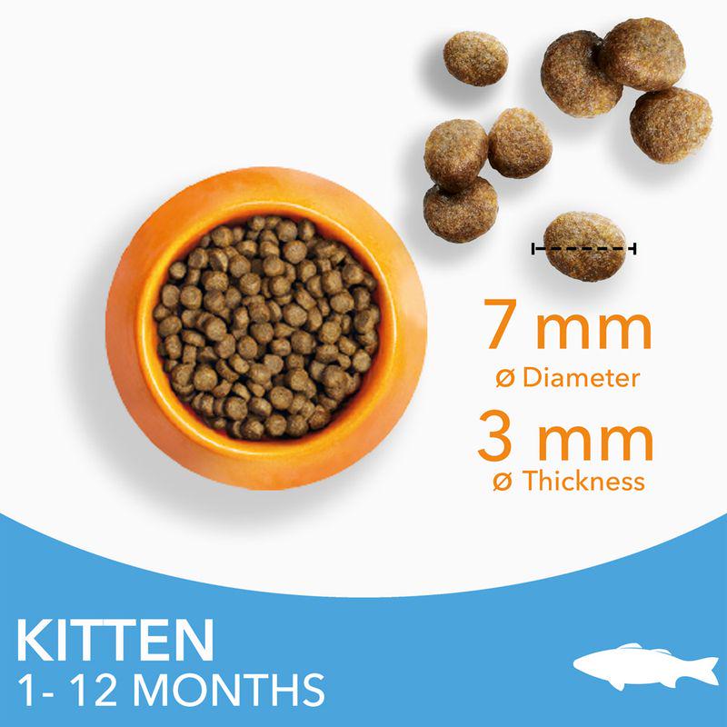 IAMS healthy kitten food