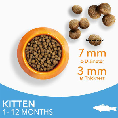 IAMS healthy kitten food