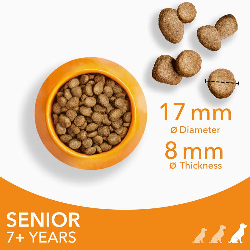 Healthy aging dog food
