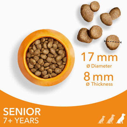 Healthy aging dog food