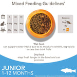 Load image into Gallery viewer, IAMS Advanced Nutrition Kitten with Ocean Fish
