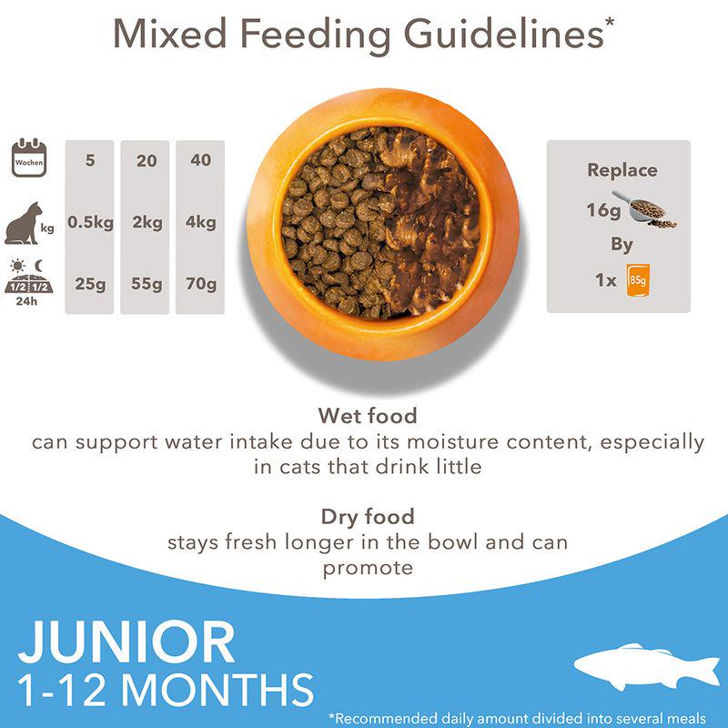 IAMS Advanced Nutrition Kitten with Ocean Fish