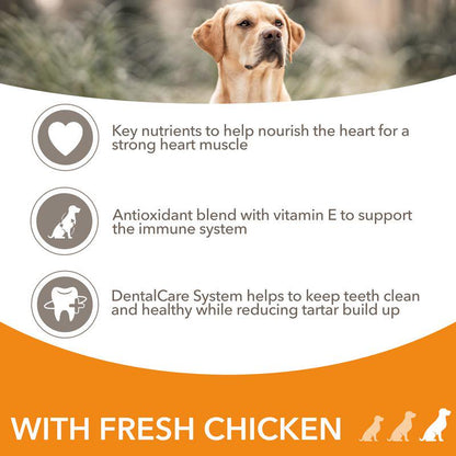 Senior dog chicken recipe