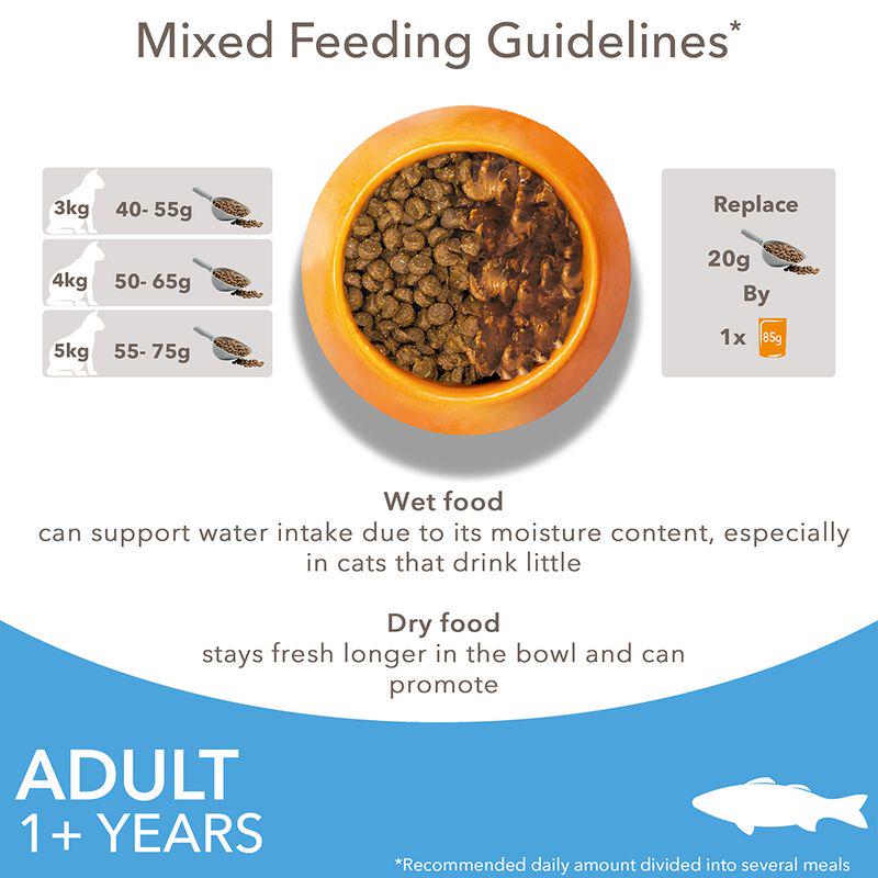 IAMS Advanced Nutrition Adult Cat with Ocean Fish