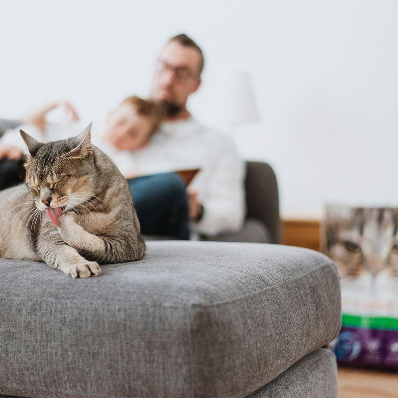 Dust-reducing litter
