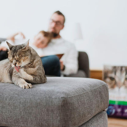 Dust-reducing litter