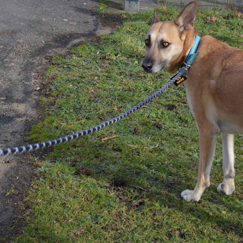Reflective rope leash