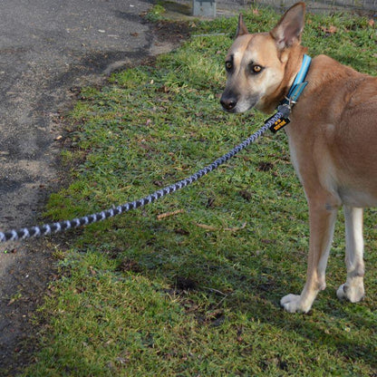 Reflective rope leash