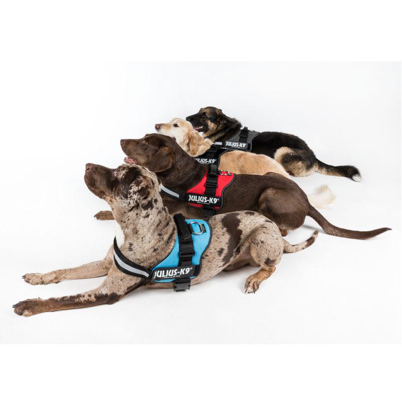 JULIUS-K9 Power gear