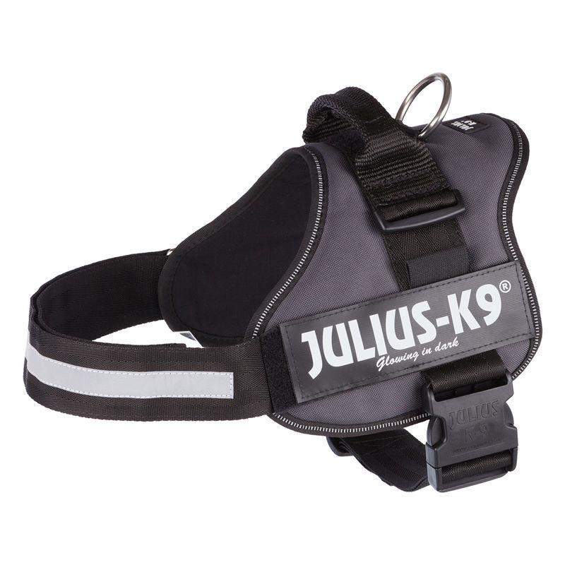 Training harness for dogs