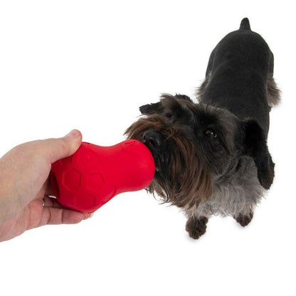 Interactive dog toy