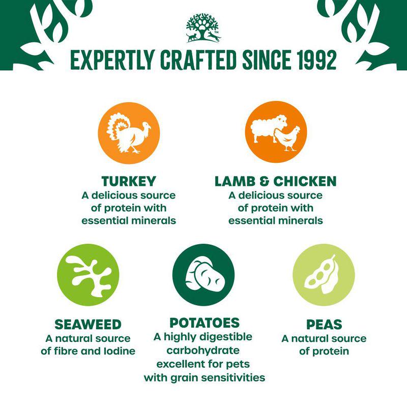 Adult dog hypoallergenic mix