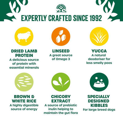 Hypoallergenic lamb and rice