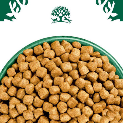 Adult cat food for sensitive cats