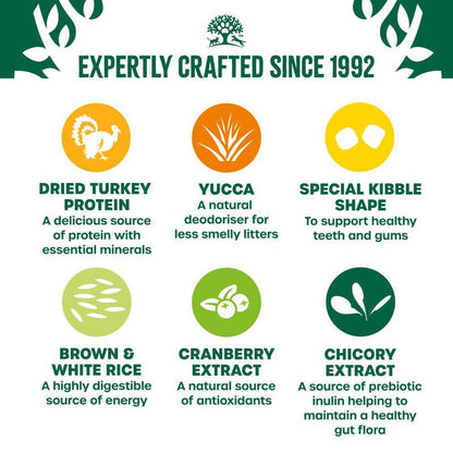 Oral health cat diet