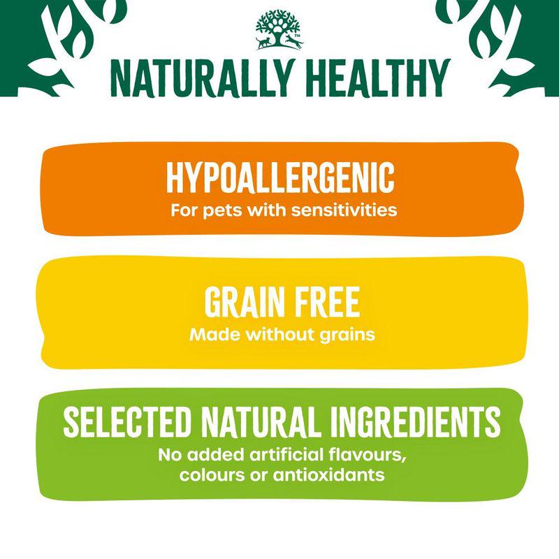 Hypoallergenic wet dog food