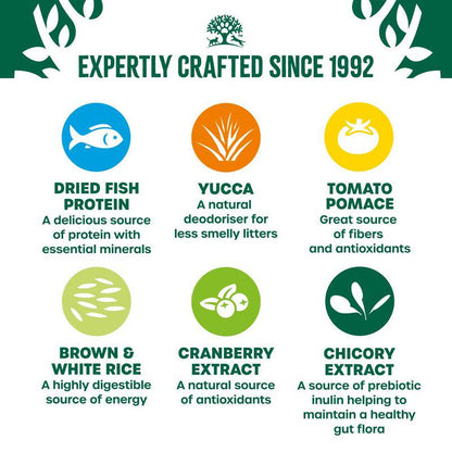 Gentle food for older cats