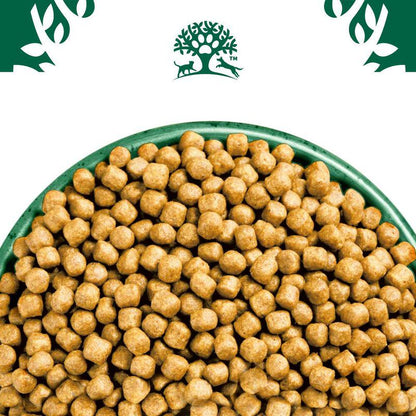 Hypoallergenic kibble for seniors