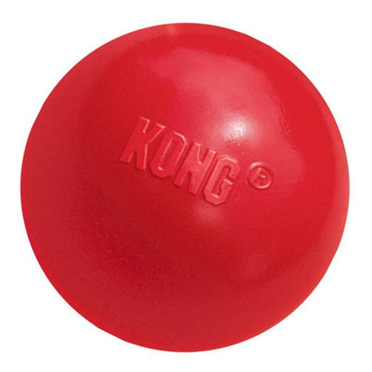 Fetch with KONG
