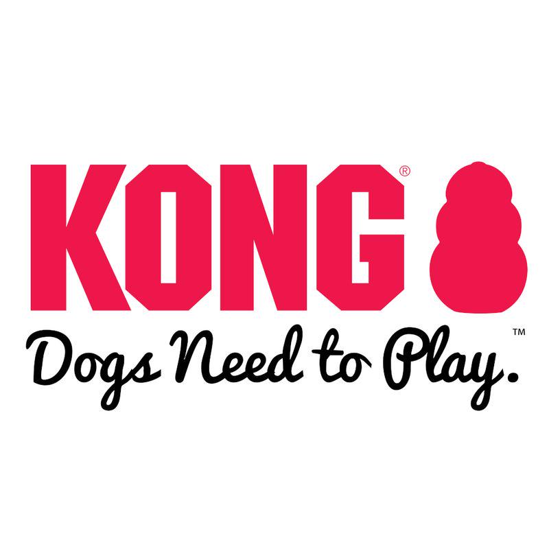 Durable KONG Gyro toy