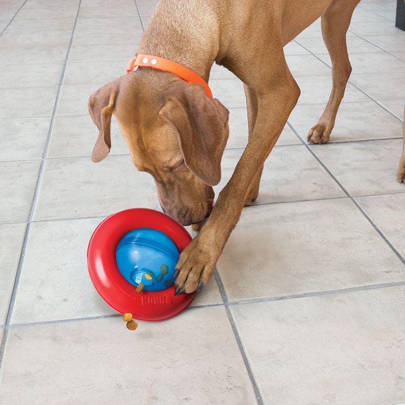 KONG spinning toy