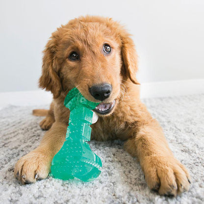 Dog dental hygiene toy