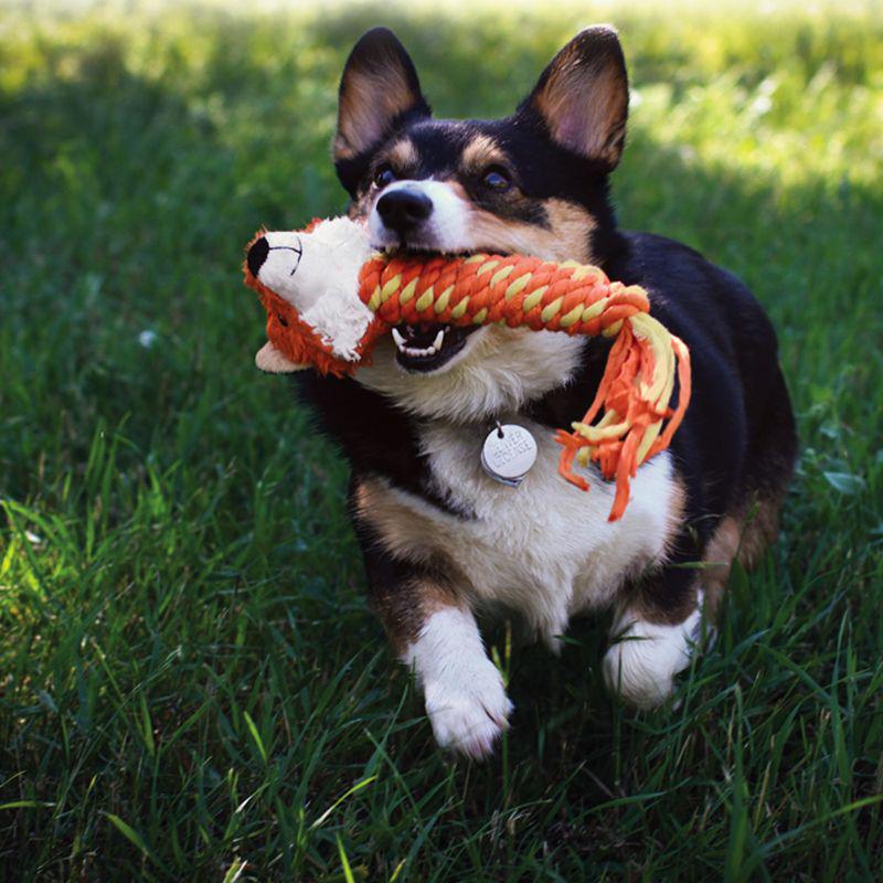 KONG squeaky fox toy