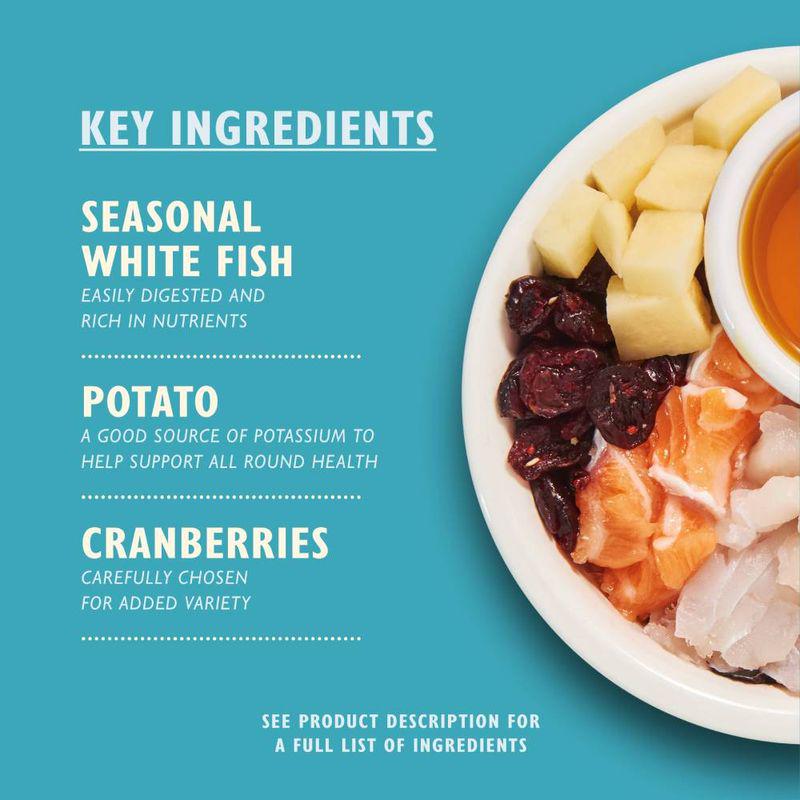 Dry cat food seafood flavor