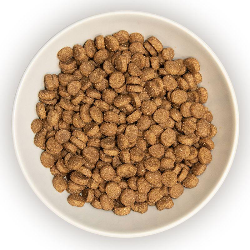 Kitten Chicken and Rice cat food