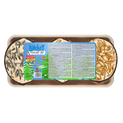 Wild bird coconut feeder