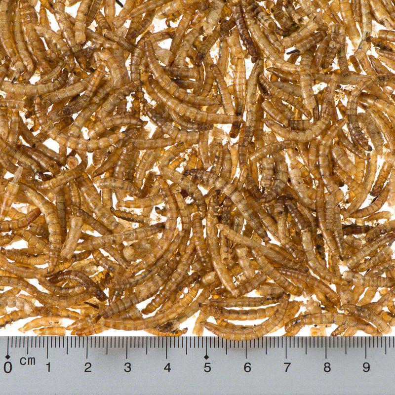 Lillebro Dried Mealworms