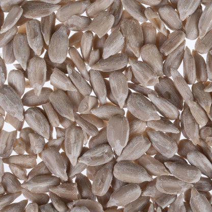 Clean sunflower bird food