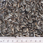 Load image into Gallery viewer, Lillebro Sunflower Seeds for Wild Birds
