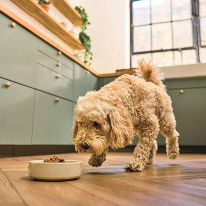 Lilys adult dry dog food