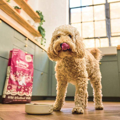 Premium dry dog meal