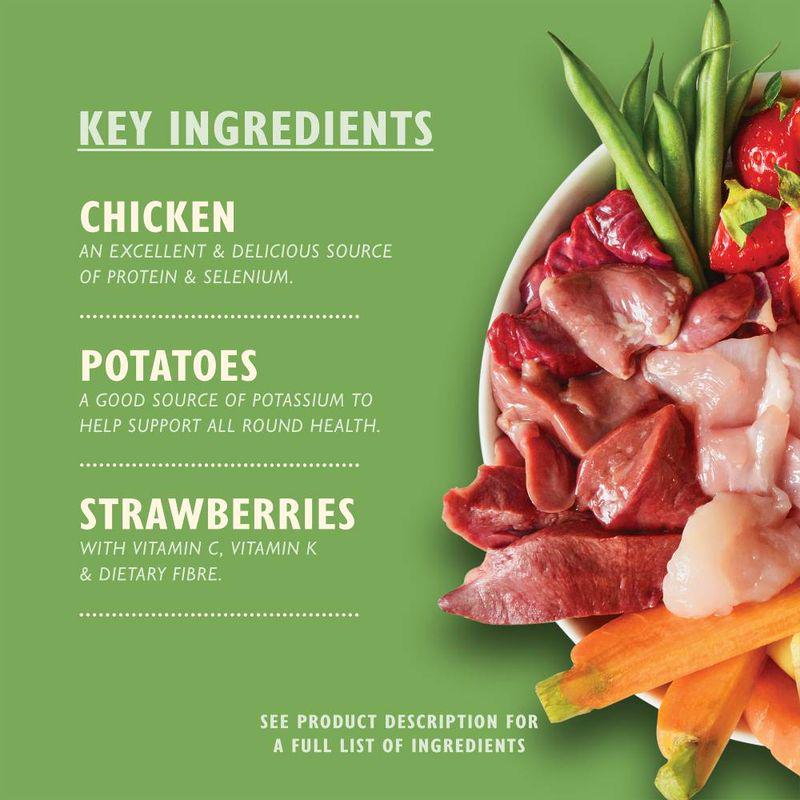 Festive dog food garden mix