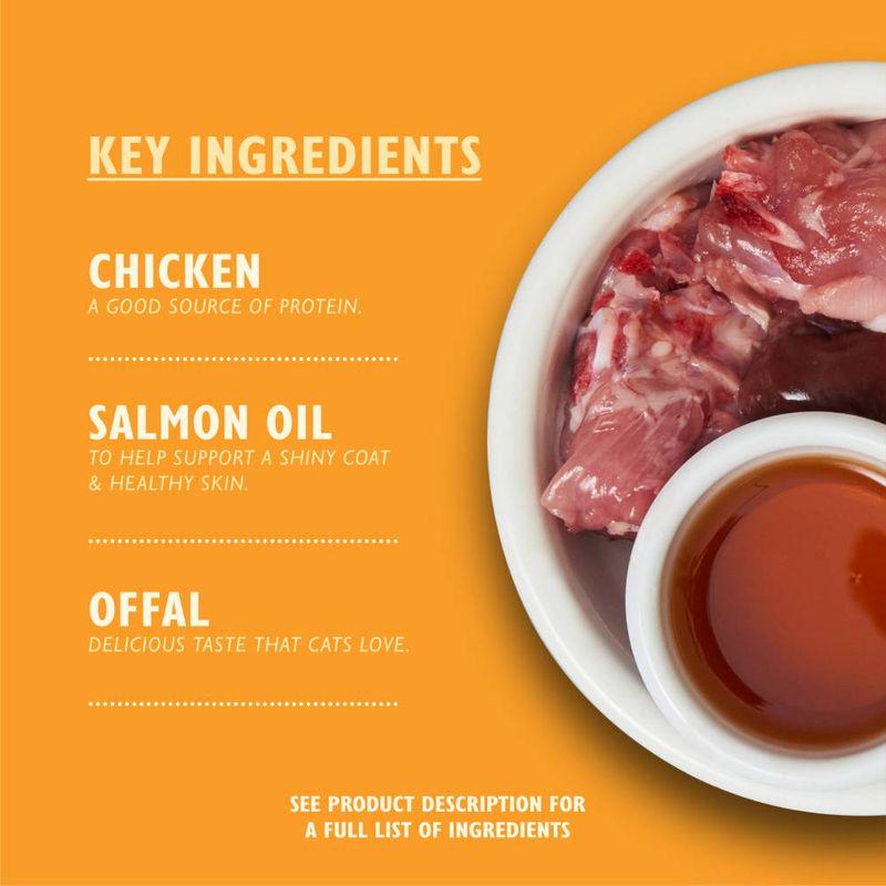 Healthy protein cat food