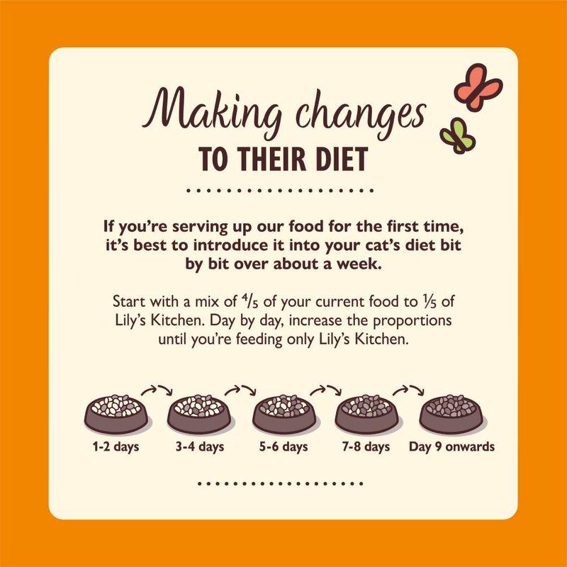 Dry cat food chicken casserole