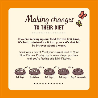 Dry cat food chicken casserole