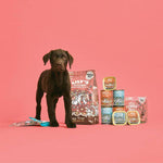 Load image into Gallery viewer, Lily&#39;s Kitchen Puppy Recipe Turkey, Duck and Kale
