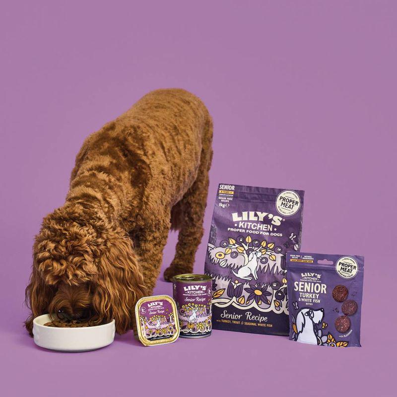 Lilys senior dry dog food