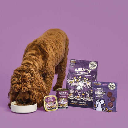 Lilys senior dry dog food